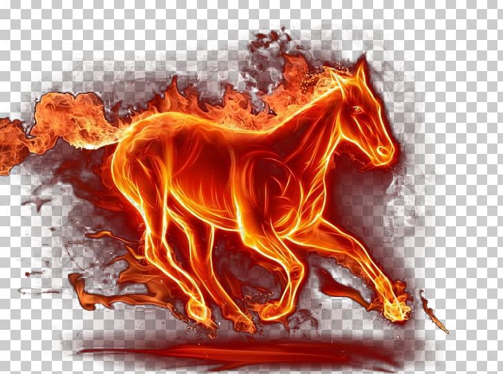 Horse Kindle Fire HD High-definition Television 4K Resolution PNG, Clipart, 4k Resolution, 1080p, 1440p, 2160p, Android Free PNG Download