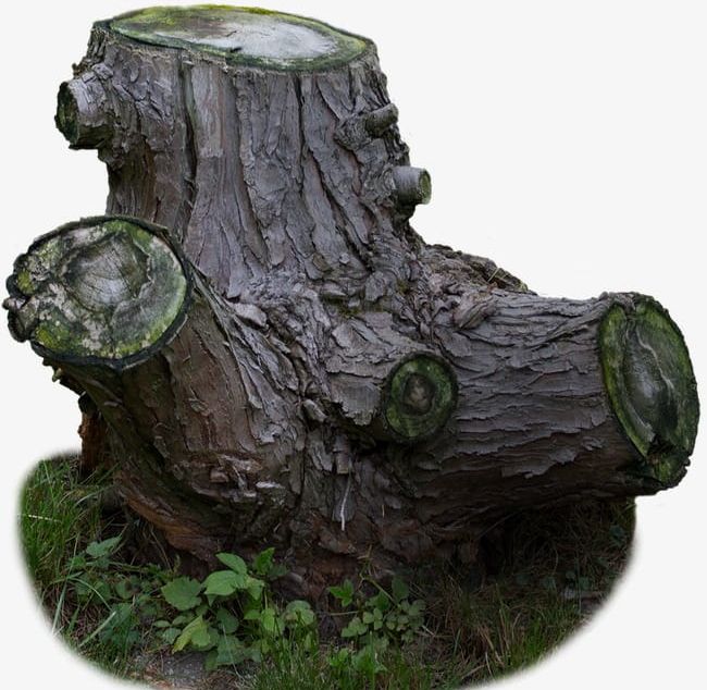 Old Tree Stump In-kind Material PNG, Clipart, Bark, In Kind Clipart, In Kind Clipart, Material, Material Clipart Free PNG Download