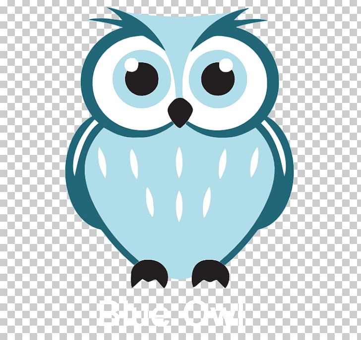Owl Bird Drawing PNG, Clipart, Animals, Artwork, Beak, Bird, Bird Of Prey Free PNG Download
