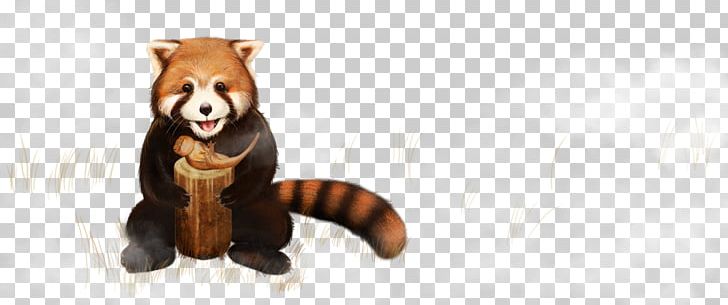 Red Panda Madeira Giant Panda Fire Salamander Bear PNG, Clipart, Animals, Bear, Carnivoran, Designer, Euclidean Vector Free PNG Download