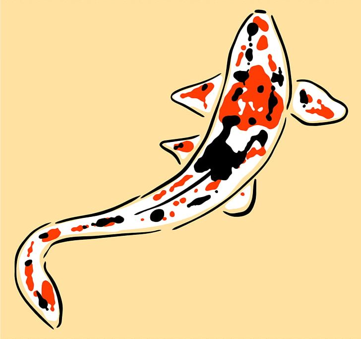 Koi Carp PNG, Clipart, Art, Carp, Common Carp, Drawing, Favicon Free PNG Download