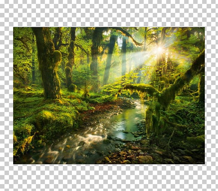 Landscape Photography Earth Landscape Photography Nature PNG, Clipart, Art, Bank, Bayou, Biome, Computer Wallpaper Free PNG Download