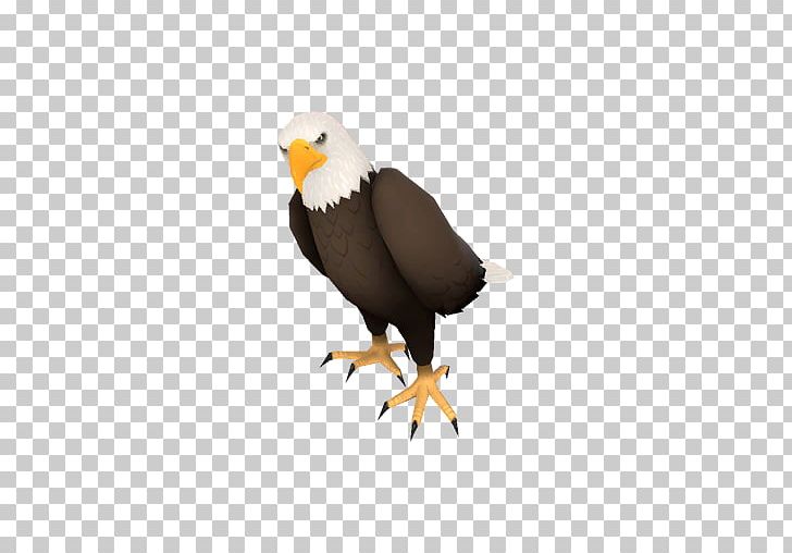 Team Fortress 2 Game Price Trade Steam PNG, Clipart, Accipitriformes, Backpack, Bald Eagle, Beak, Bird Free PNG Download