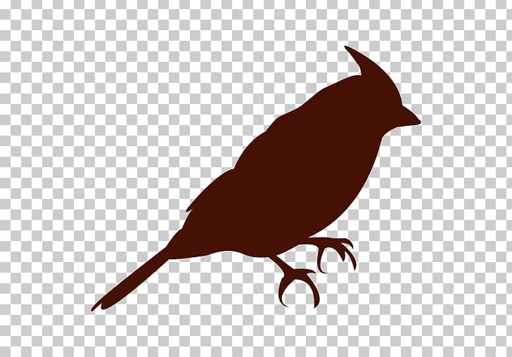 Silhouette Bird PNG, Clipart,  Free PNG Download