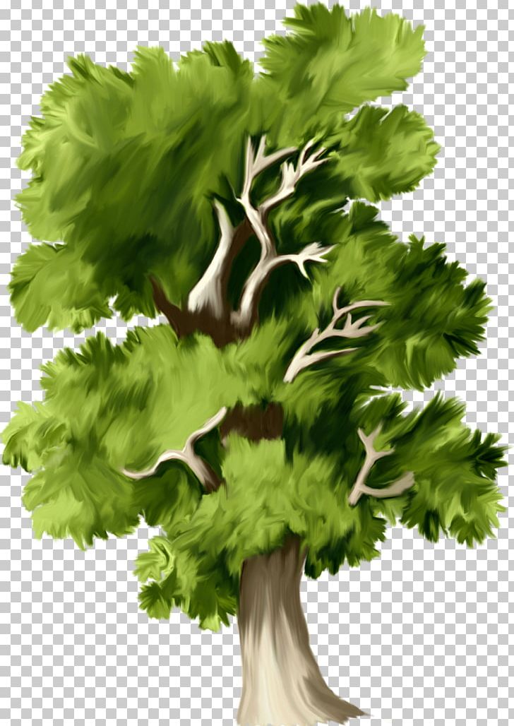 Tree Web Page PNG, Clipart, Birthday, Branch, Download, Food, Forest Free PNG Download