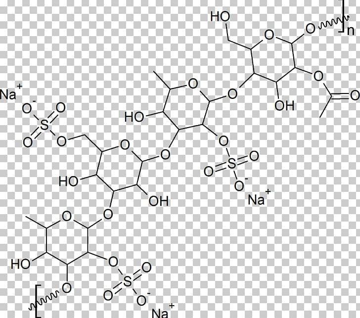 Wakame Mekabu Fucoidan Seaweed /m/02csf PNG, Clipart, Angle, Area, Auto Part, Black And White, Circle Free PNG Download