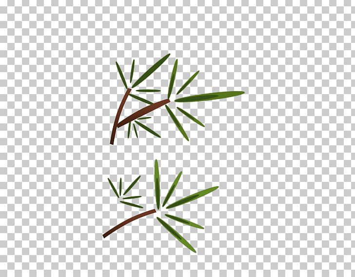 Bamboo PNG, Clipart, Angle, Bamboo, Bamboo Leaves, Branch, Cyan Free PNG Download