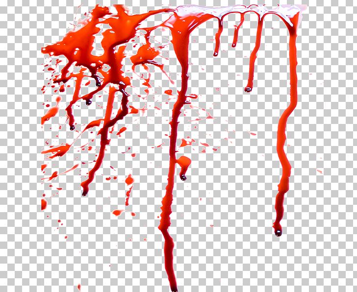 Blood Artery Hemodynamics Heart PNG, Clipart, Art, Arte, Blood, Blood Plasma, Bloodstain Pattern Analysis Free PNG Download