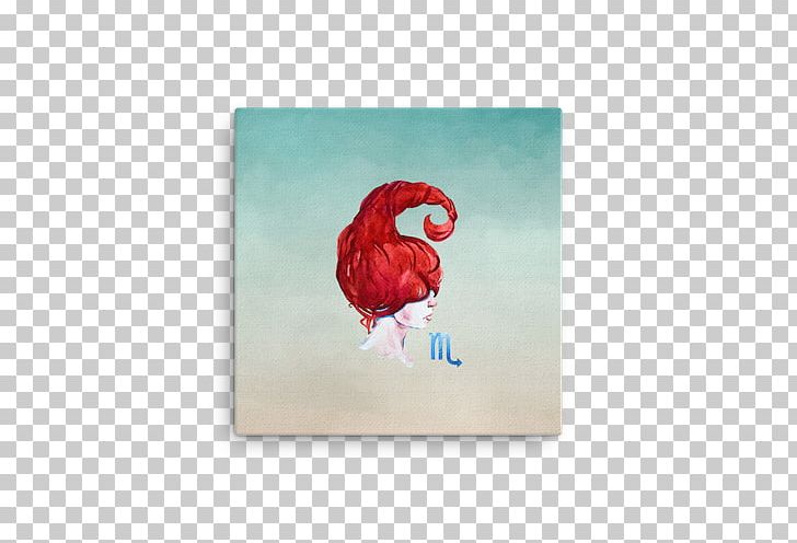 Rectangle PNG, Clipart, Others, Petal, Rectangle, Water Bird Free PNG Download