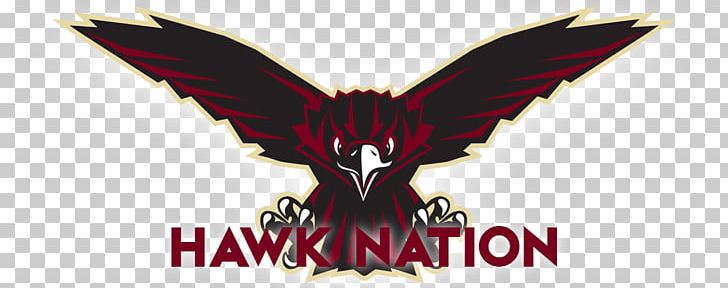 Skyhawk Logo Southridge High School Font PNG, Clipart, Character, Fiction, Fictional Character, Football, France Free PNG Download