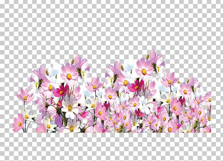 Floral Design Cut Flowers Spring PNG, Clipart, Art, Blossom, Branch, Cherry, Cherry Blossom Free PNG Download