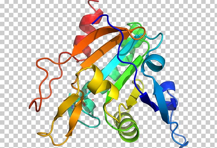 Soapberries Trypsin Inhibitor Protease Pepsin PNG, Clipart, Artwork, C 47, Cys, D 1, Enzyme Inhibitor Free PNG Download