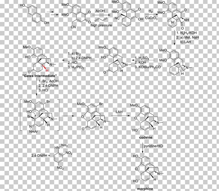 Total Synthesis Of Morphine And Related Alkaloids Chemistry Pale Blue Dot PNG, Clipart, Angle, Area, Auto Part, Black And White, Chemical Synthesis Free PNG Download