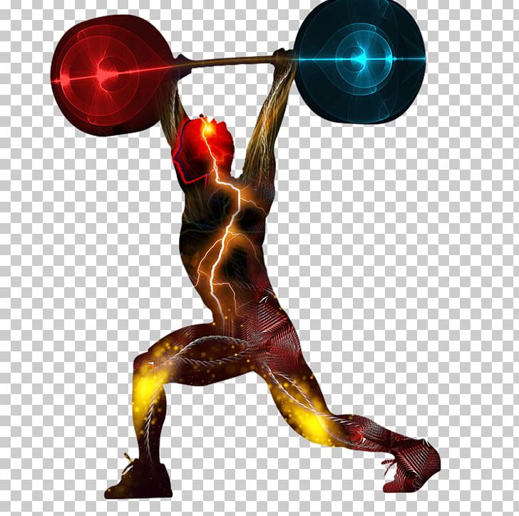 Physical Fitness Olympic Weightlifting Weight Training Fitness Centre Barbell PNG, Clipart, Arm, Athlete, Barbell, Exercise Equipment, Fitness Centre Free PNG Download