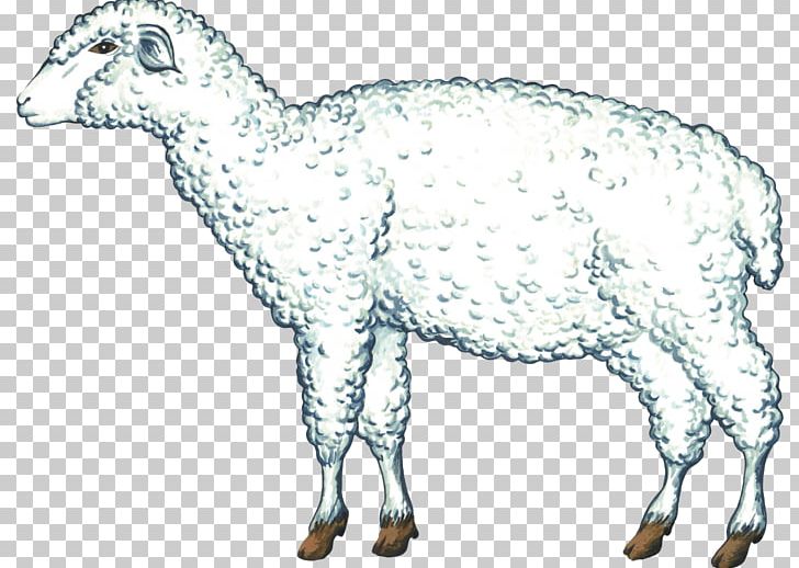 Sheep Goat Cattle PNG, Clipart, Animal Figure, Animals, Cartoon, Cow Goat Family, Fauna Free PNG Download