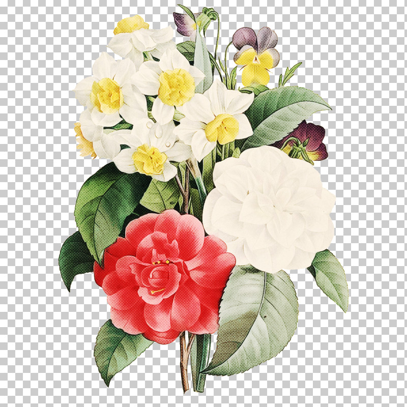 Floral Design PNG, Clipart, Chrysanthemum, Cut Flowers, Drawing, Floral Design, Floristry Free PNG Download