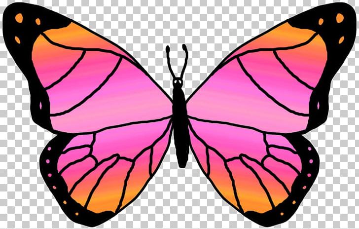 Butterfly Free Content PNG, Clipart, Adobe Illustrator, Arthropod, Brush Footed Butterfly, Butterflies And Moths, Butterfly Free PNG Download