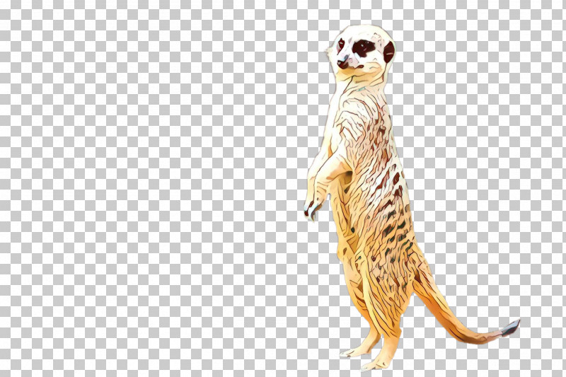Meerkat Mongoose Tail Wildlife PNG, Clipart, Meerkat, Mongoose, Tail, Wildlife Free PNG Download