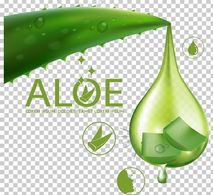 Aloe Vera Euclidean Skin Care PNG, Clipart, Aloe, Aloe Plant, Alternative Medicine, Bottle, Brand Free PNG Download