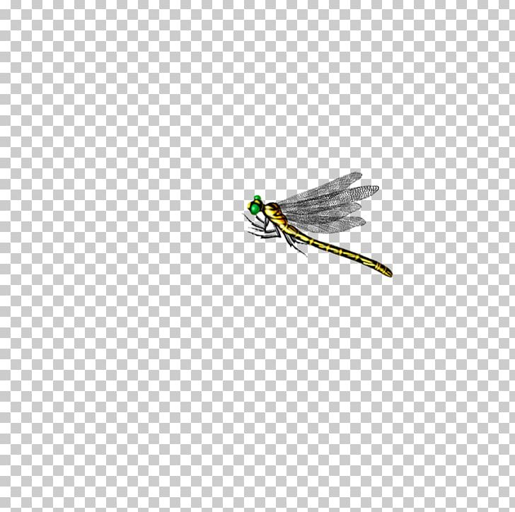 Dragonfly Insect Computer File PNG, Clipart, Animation, Bamboocopter, Beneficial Insects, Cartoon Dragonfly, Download Free PNG Download