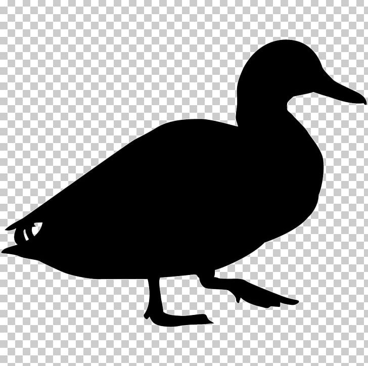Duck Bird Goose Mallard Cornell Lab Of Ornithology PNG, Clipart, All About Birds, American Pekin, Anatidae, Animals, Artwork Free PNG Download