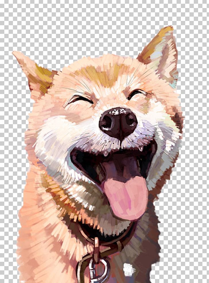 Akita Cat Husky Pet Illustration PNG, Clipart, Animal, Animals, Carnivoran, Dog Breed, Dog Breed Group Free PNG Download