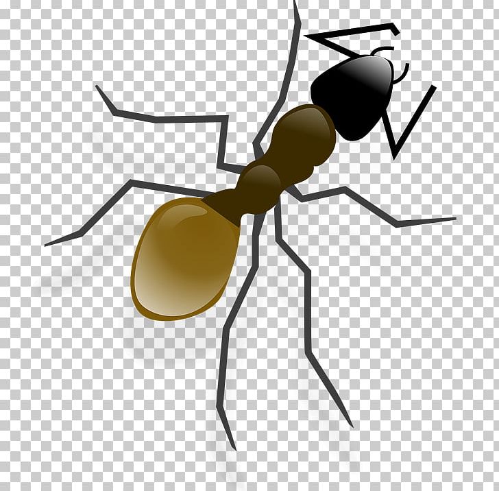 Andy Ant PNG, Clipart, Andy Ant, Animation, Ant, Camera Icon, Cartoon Free PNG Download