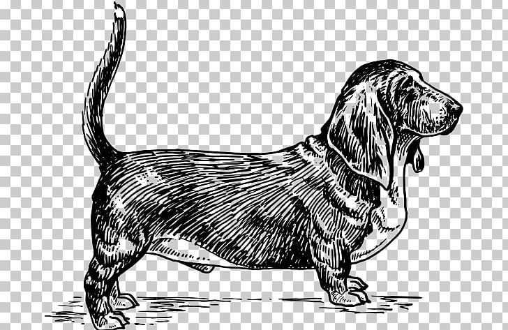 Basset Hound Beagle Greyhound Serbian Hound Bull Terrier PNG, Clipart, Basset Hound, Beagle, Black And White, Bull Terrier, Carnivoran Free PNG Download
