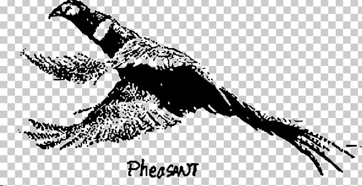 Green Pheasant Galliformes Feather Bird PNG, Clipart, Animals, Art, Beak, Bird, Bird Clipart Free PNG Download