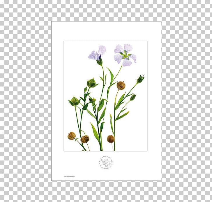 Paper Flower Botany Printing PNG, Clipart, Art Director, Botany, Cut Flowers, Flora, Floral Design Free PNG Download