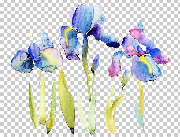 Watercolor Painting Drawing Illustration PNG, Clipart, Autumn, Blue, Cartoon, Cut Flowers, Decorate Free PNG Download
