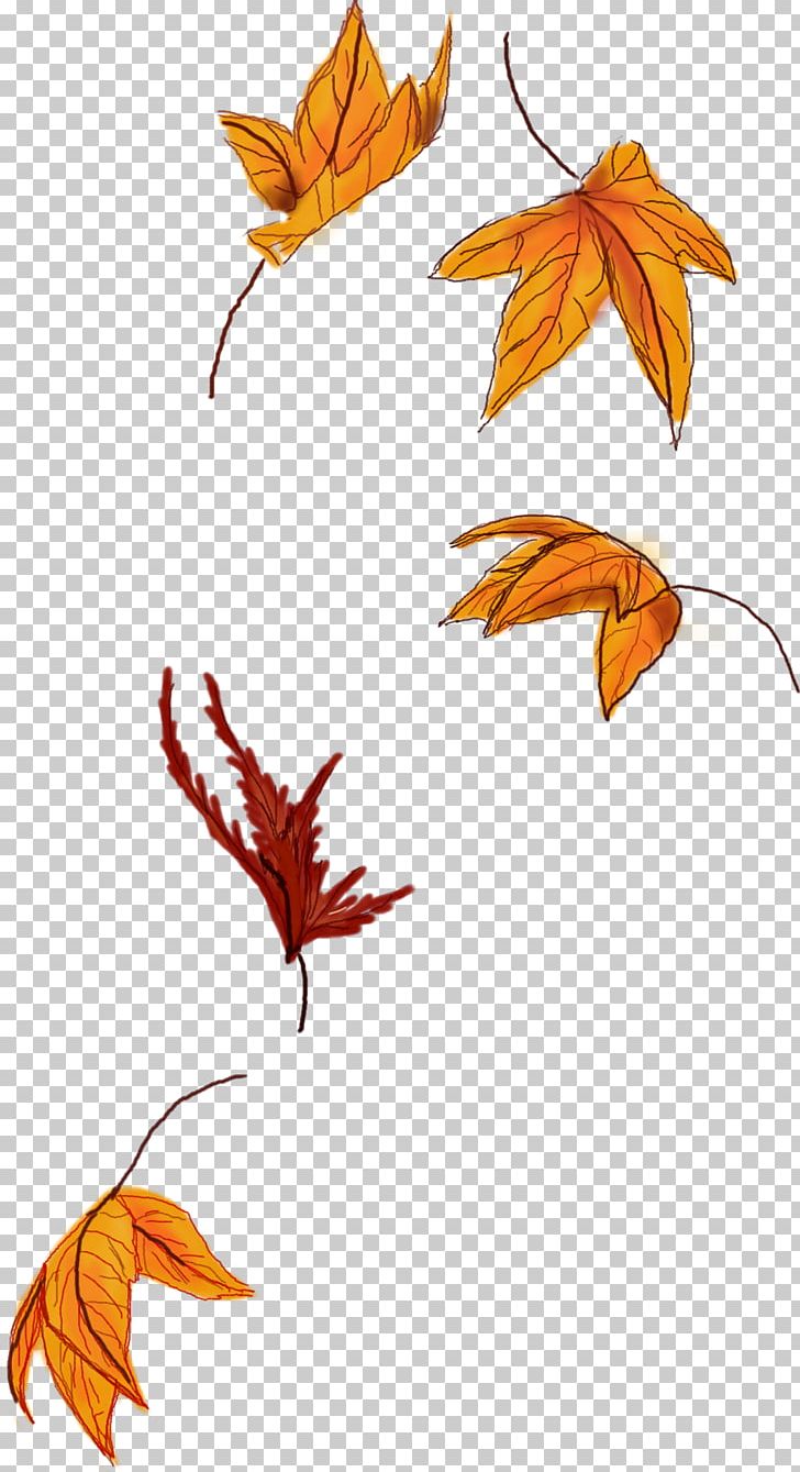 Autumn Leaf Color Autumn Leaf Color Maple Leaf Sticker PNG, Clipart, Art, Autumn, Autumn Leaf Color, Color, Creativity Free PNG Download