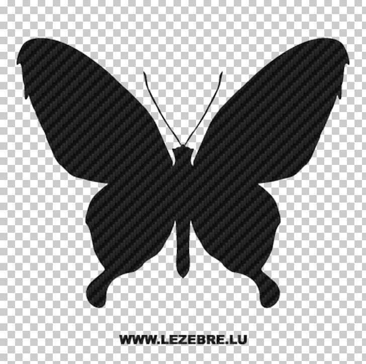 Butterfly Graphics Insect Illustration PNG, Clipart, Arthropod, Black, Black And White, Butterfly, Download Free PNG Download