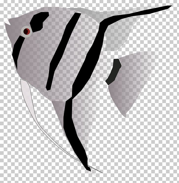 Queen Angelfish Portable Network Graphics Freshwater Angelfish PNG, Clipart, Angelfish, Animals, Fictional Character, Fish, Fish Icon Free PNG Download