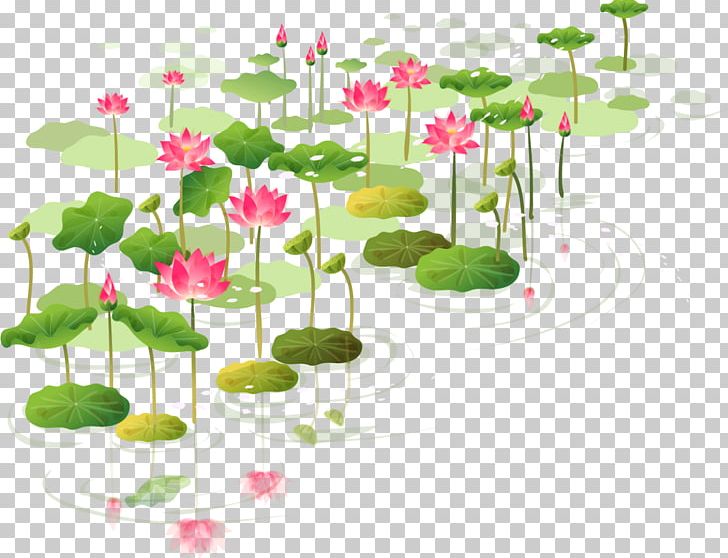 Sacred Lotus Water Lilies Sticker Flower PNG, Clipart, Drawing, Flora, Floral Design, Floral Frame, Floristry Free PNG Download