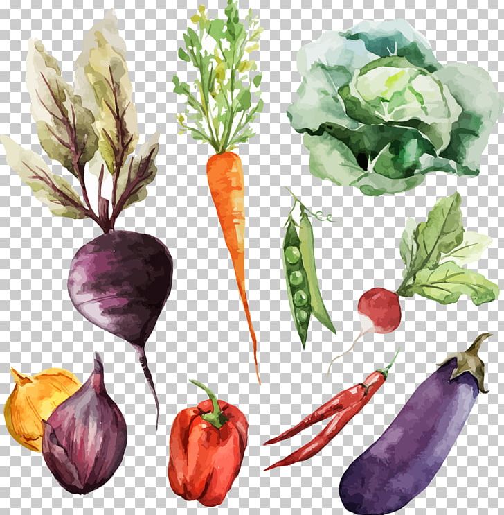 Watercolor Painting Vegetable Food PNG, Clipart, Art, Carrot, Diet Food, Drawing, Flower Free PNG Download