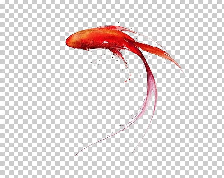 Carassius Auratus Ink Wash Painting PNG, Clipart, Animals, Animation, Aquarium Fish, Art, Beak Free PNG Download