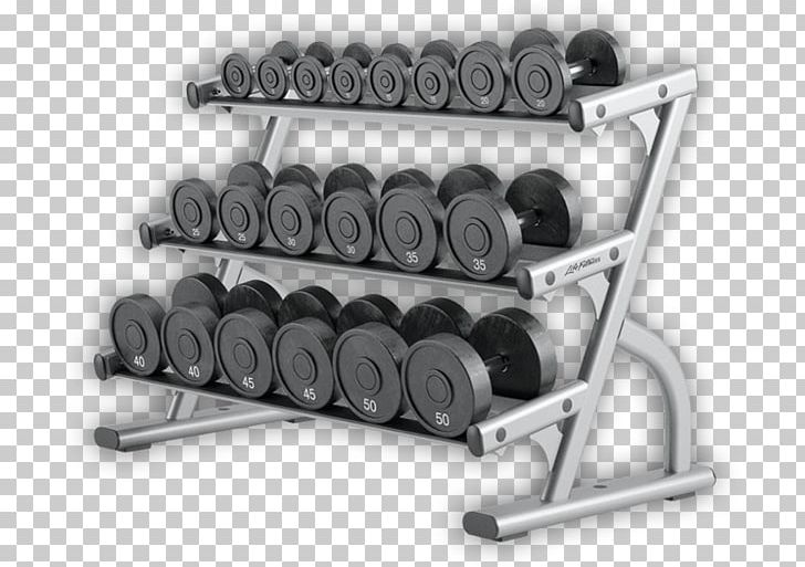 Dumbbell Barbell Exercise Equipment Fitness Centre Weight Training PNG, Clipart, Barbell, Bench, Dumbbell, Dumbell, Exercise Free PNG Download