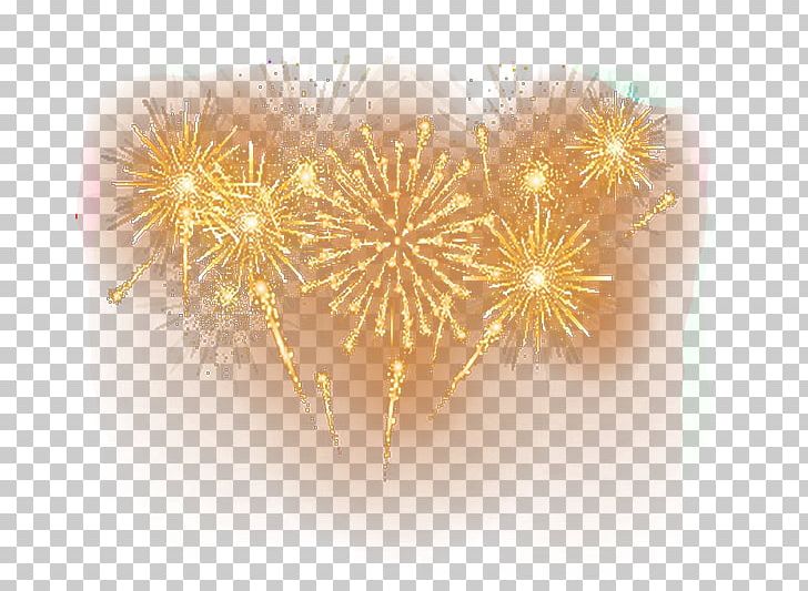 Fireworks Pyrotechnics PNG, Clipart, Adobe Fireworks, Beautiful, Color, Computer Wallpaper, Fireworks Free PNG Download