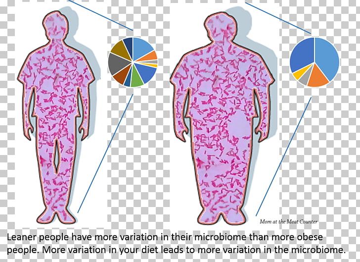 Human Microbiome Project Microbiota Gut Flora Obesity Bacteria PNG, Clipart, Clothing, Costume Design, Diet, Disease, Fat Free PNG Download