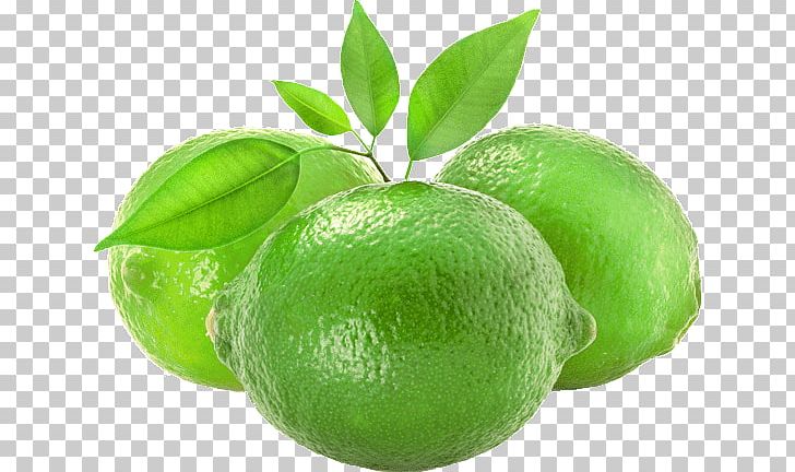 Persian Lime Lemon Lime Juice Fruit PNG, Clipart, Bitter Orange, Calamondin, Citric Acid, Citron, Citrus Free PNG Download