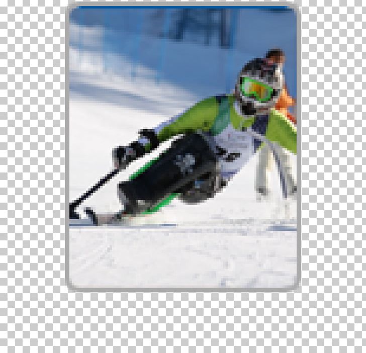 Ski Bindings Winter Sport Ski Poles PNG, Clipart, Extreme Sport, Others, Results Of The 2012 Rio Carnival, Ski, Ski Binding Free PNG Download