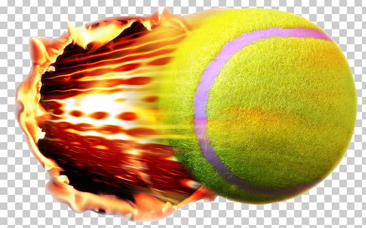 Tennis Ball PNG, Clipart, Ball, Beach Ball, Closeup, Macro Photography, Orange Free PNG Download