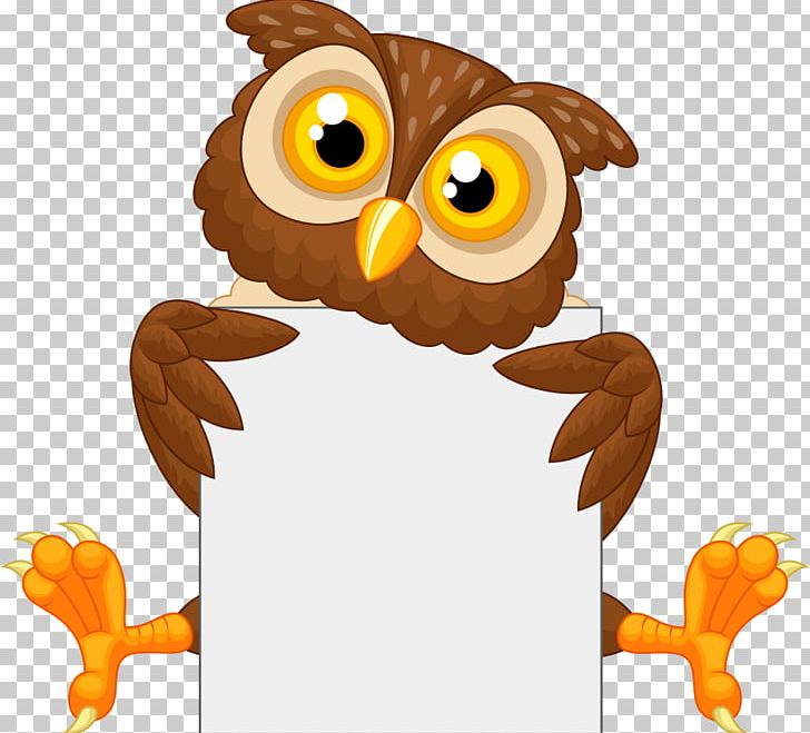 Owl PNG, Clipart, Animals, Beak, Bird, Cartoon, Cartoon Owl Free PNG Download