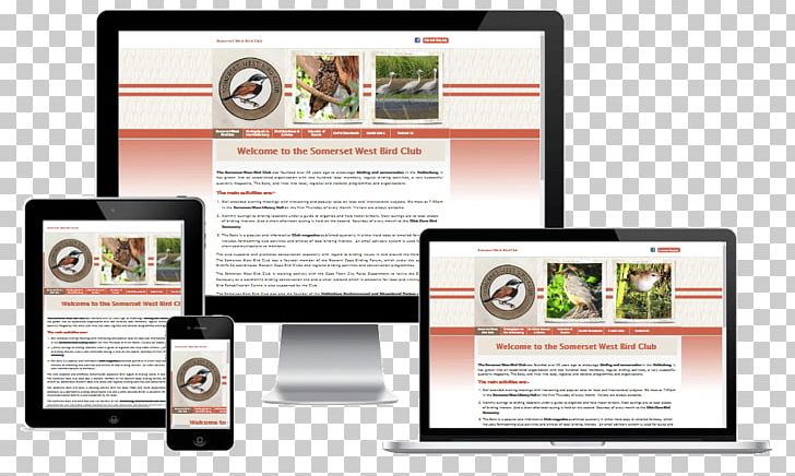 Responsive Web Design Web Development Web Developer PNG, Clipart, Bernina Somerset West, Digital Marketing, Display Advertising, Domain Name, Graphic Design Free PNG Download