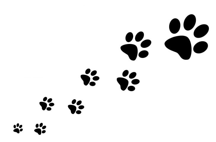 Dog Cat Paw Silhouette PNG, Clipart, Animal Track, Art, Black, Black And White, Cat Free PNG Download