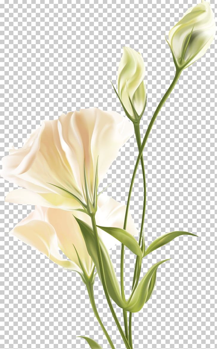 Flower Floral Design PNG, Clipart, Blossom, Bud, Cut Flowers, Fleur, Floral Design Free PNG Download