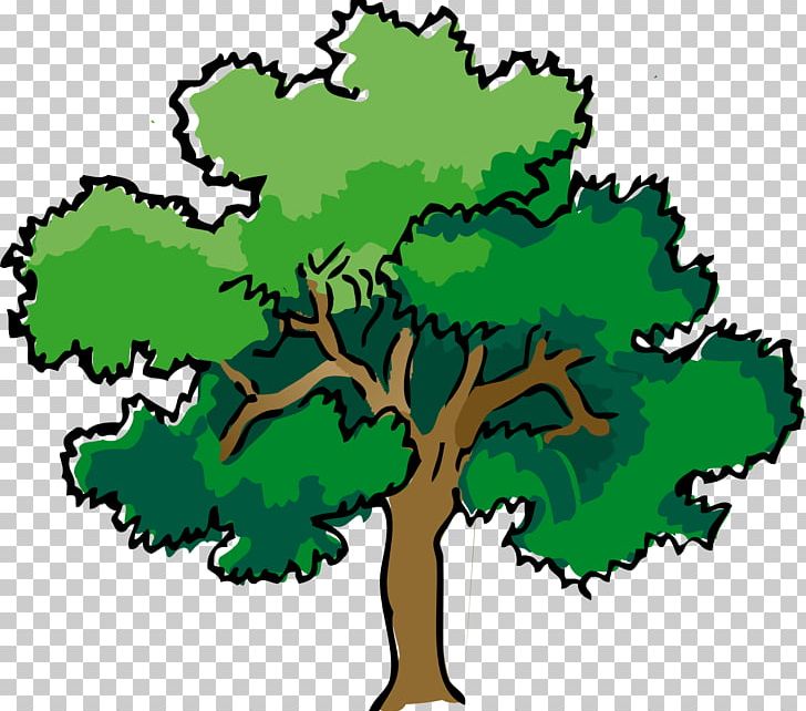 Narra Tree Oak PNG, Clipart, Arecaceae, Art, Background Green, Brown, Clip Art Free PNG Download