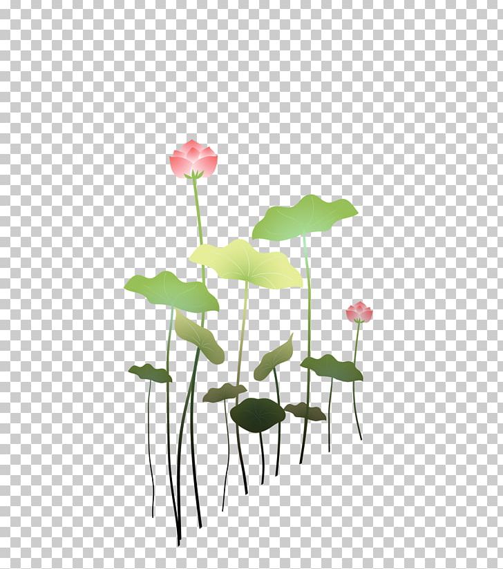 Nelumbo Nucifera Plant Petal PNG, Clipart, Chinese Style, Computer Wallpaper, Decorative, Decorative Material, Download Free PNG Download