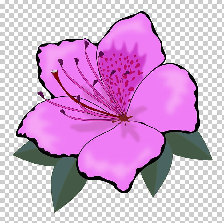 Flower Orange PNG, Clipart, Annual Plant, Blue, Cut Flowers, Desktop Wallpaper, Flora Free PNG Download